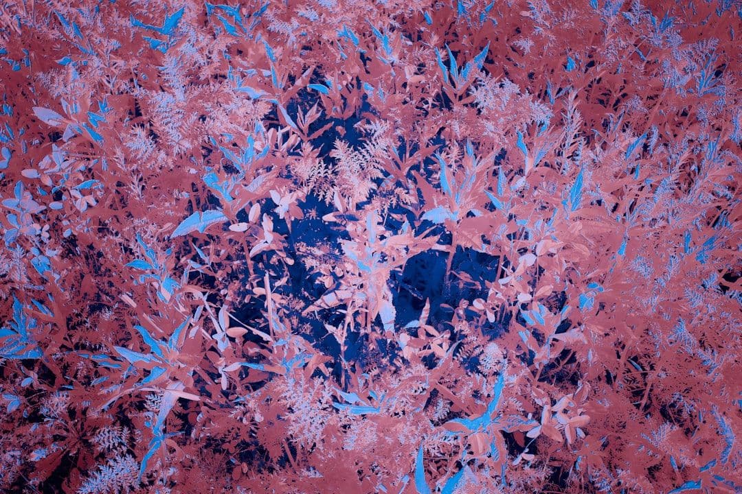 Saúde Conectada: Doenças, Dieta e Longevidade em Foco