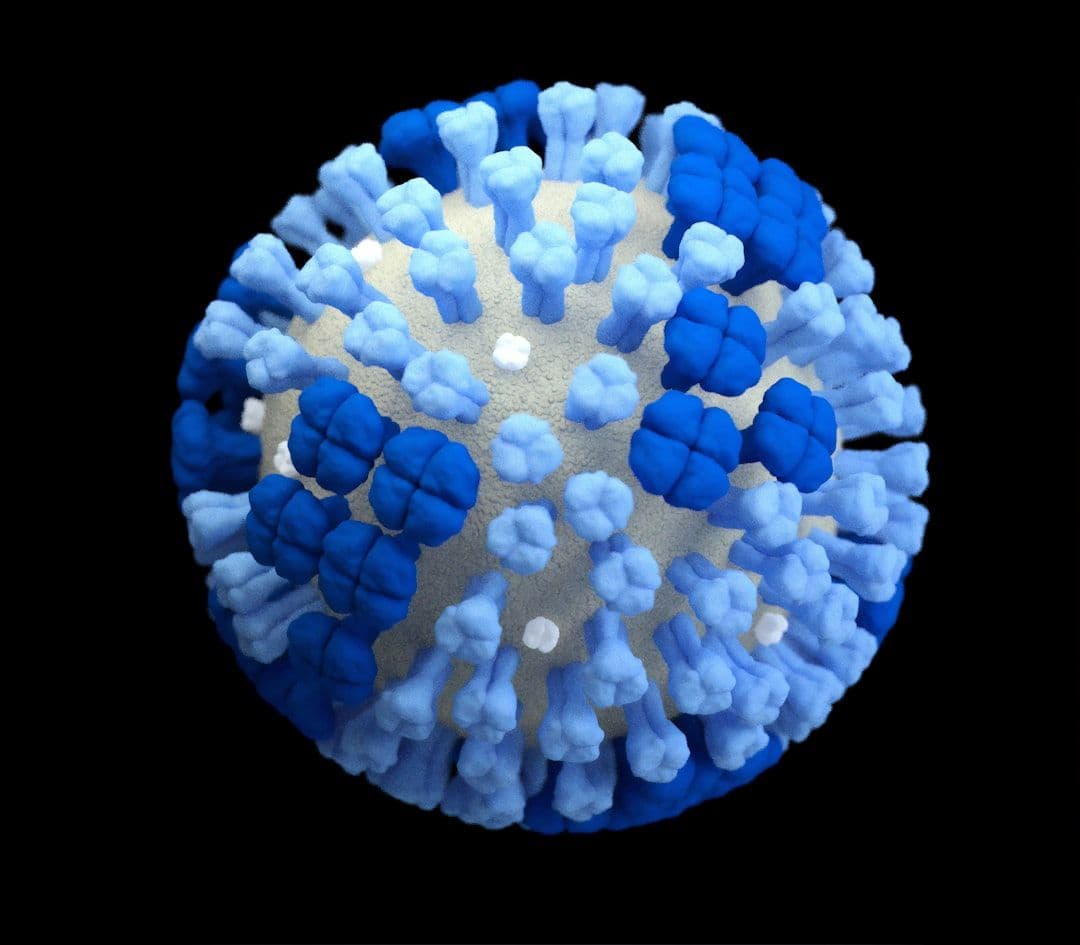 Mpox e Saúde Pública: Alertas e Prevenção no Brasil